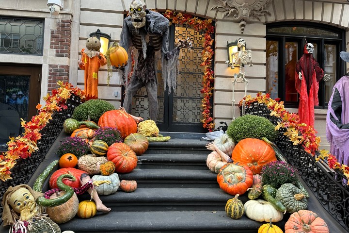 Halloween-themed steps with pumpkins, skeletons, and autumn leaves.