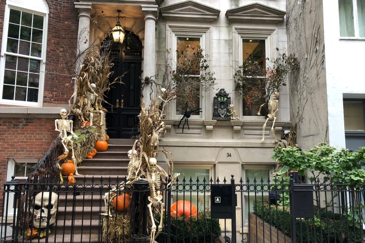 Halloween-decorated stoop with skeletons, pumpkins, and cornstalks.