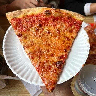 A slice of cheese pizza on a white paper plate, held by a hand.