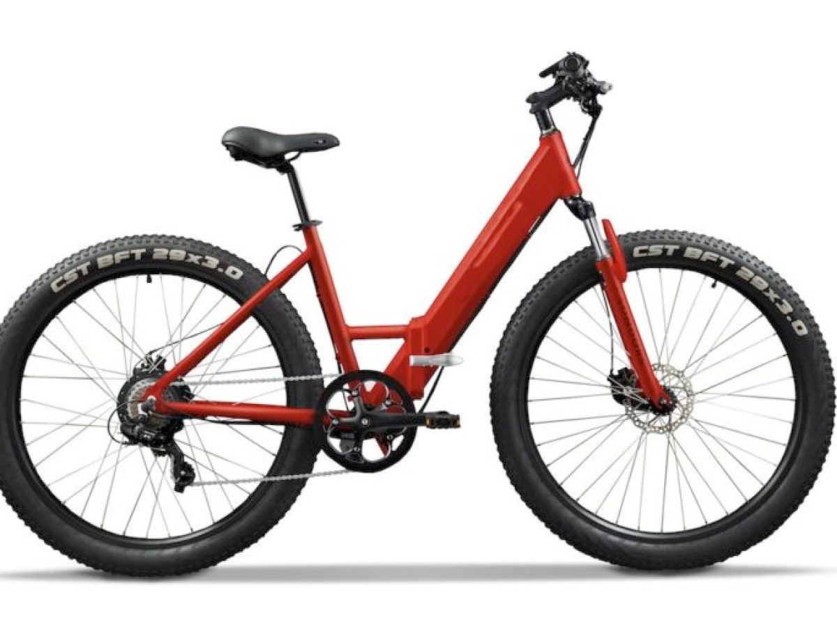 Step through bike - basic bike