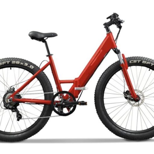 Step through bike - basic bike