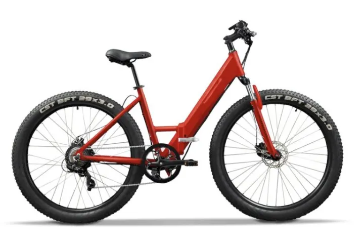 Step through bike - basic bike