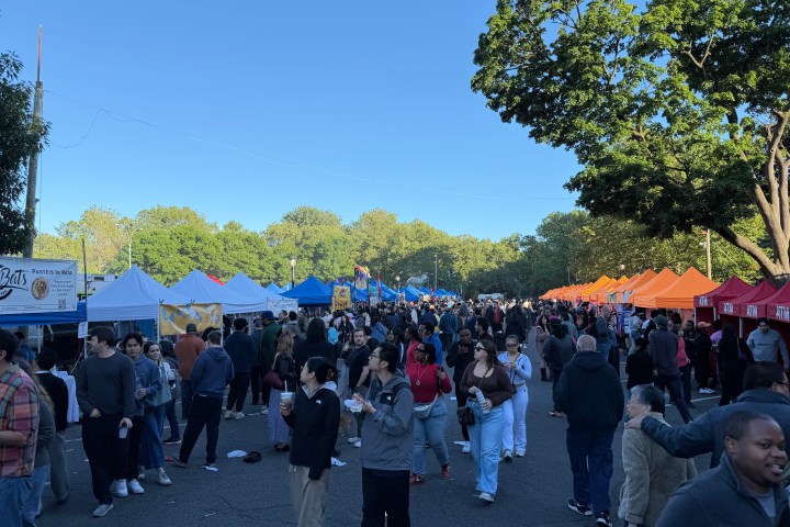 Crowded outdoor market with people, booths, and trees under a clear sky.