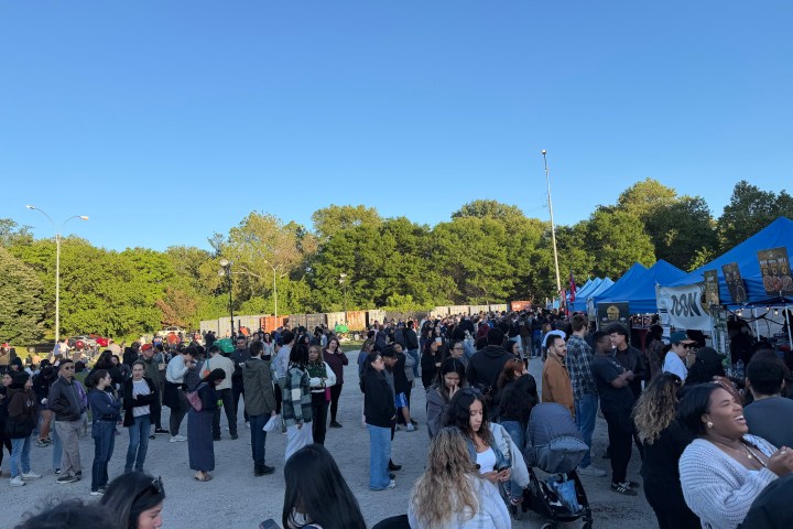 Crowd at an outdoor market with blue tents and trees in the background.
